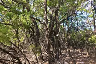 8126 Chantilly Trail, Leander, TX 78645 - Photo 7