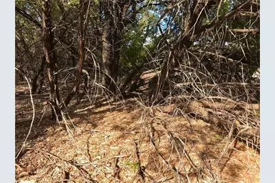 8126 Chantilly Trail, Leander, TX 78645 - Photo 5