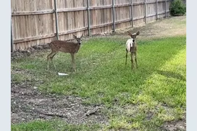 4159 Steck Avenue #148, Austin, TX 78759 - Photo 21
