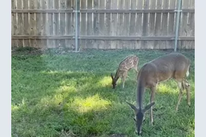 4159 Steck Avenue #148, Austin, TX 78759 - Photo 19