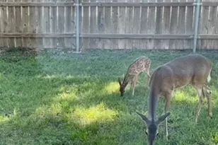 4159 Steck Ave, Austin, TX 78759 - Photo 19