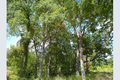 Lot 29 Serenity Drive, Bertram, TX 78605 - Photo 13
