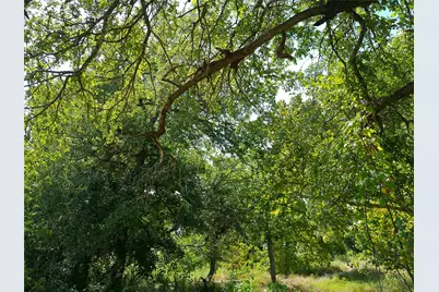 Lot 29 Serenity Drive, Bertram, TX 78605 - Photo 17