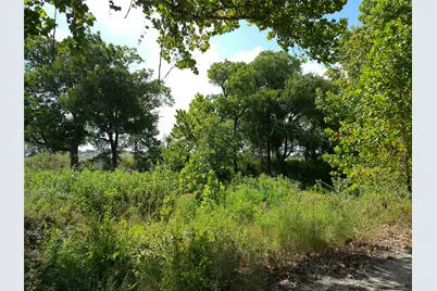Lot 29 Serenity Drive, Bertram, TX 78605 - Photo 3