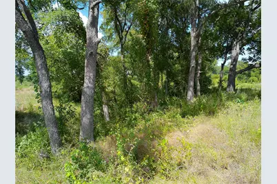 Lot 29 Serenity Drive, Bertram, TX 78605 - Photo 15