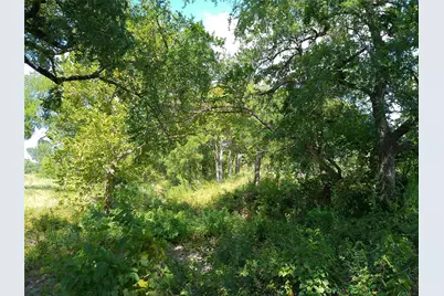 Lot 29 Serenity Drive, Bertram, TX 78605 - Photo 9