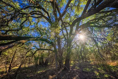 Tbd Fm 1047, Lometa, TX 76853 - Photo 39