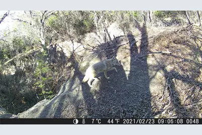 Tbd Fm 1047, Lometa, TX 76853 - Photo 35