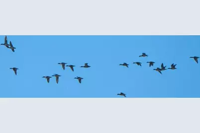 Tbd Fm 1047, Lometa, TX 76853 - Photo 37