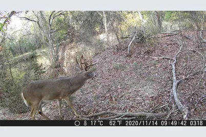 Tbd Fm 1047, Lometa, TX 76853 - Photo 33