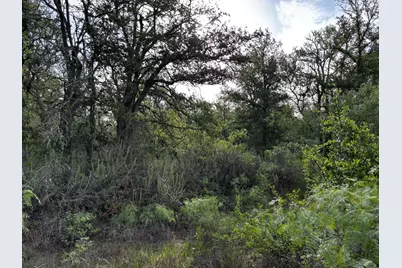 0 County Road 467, Thrall, TX 76578 - Photo 13