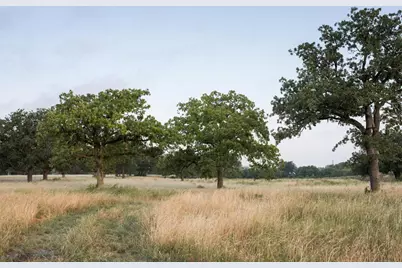 224 Kiser Road, Liberty Hill, TX 78642 - Photo 11