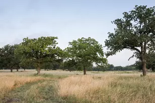 224 Kiser Rd, Liberty Hill, TX 78642 - Photo 11
