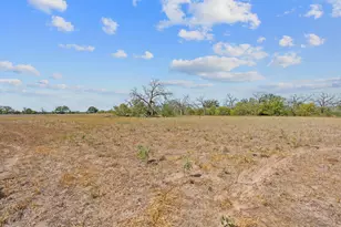 1177 County Road 402, Flatonia, TX 78941 - Photo 11