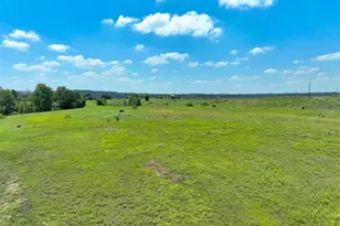 Cr 310 Cr 310, Glen Rose, TX 76048 - Photo 3