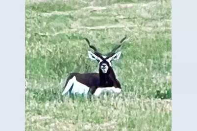 Lot 211 Majestic Hills Drive, Blanco, TX 78606 - Photo 5