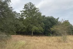 Tbd County Road 405, Buckholts, TX 76518 - Photo 1