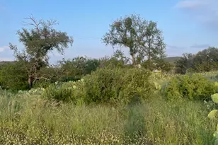 Lot 23 Cr 140, Burnet, TX 78611 - Photo 9