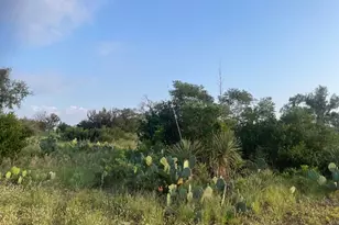 Lot 23 Cr 140, Burnet, TX 78611 - Photo 3