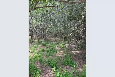 103 Mann Lane, Cedar Creek, TX 78612 - Photo 3