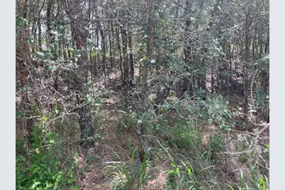 103 Mann Lane, Cedar Creek, TX 78612 - Photo 5