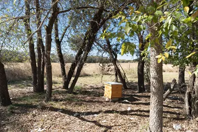 14801 Cedar Valley Road, Salado, TX 76571 - Photo 3