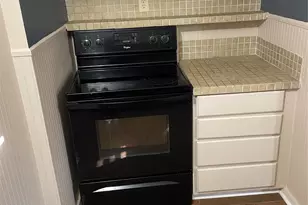 105 Henna, Bertram, TX 78605 - Photo 5