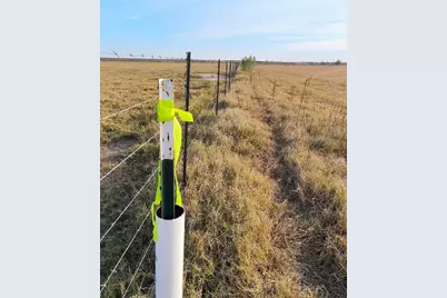 3001 Dolphin Drive, Coupland, TX 78615 - Photo 3