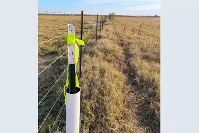 3001 Dolphin Drive, Coupland, TX 78615 - Photo 3