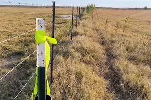 3001 Dolphin Dr, Coupland, TX 78615 - Photo 3