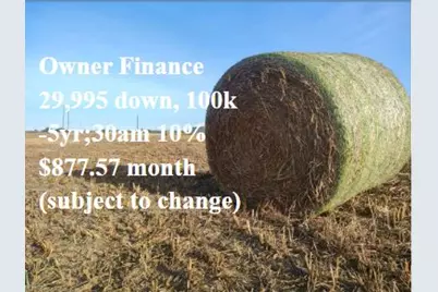 3001 Dolphin Drive, Coupland, TX 78615 - Photo 5