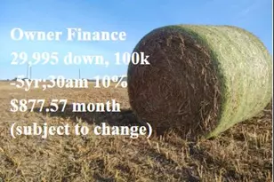 3001 Dolphin Dr, Coupland, TX 78615 - Photo 5