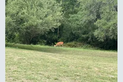 112 Kathleen Avenue, La Grange, TX 78945 - Photo 7