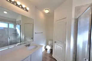 117 Wind Flower Ln, Liberty Hill, TX 78642 - Photo 19