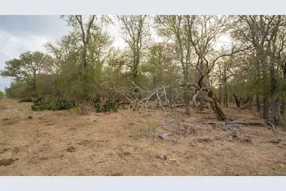 3980 (Tract 5) Fm 3158, Dale, TX 78616 - Photo 7