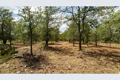 3980 (Tract 5) Fm 3158, Dale, TX 78616 - Photo 21