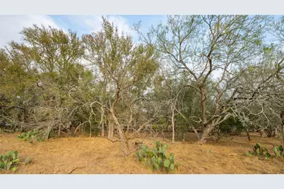 3980 (Tract 5) Fm 3158, Dale, TX 78616 - Photo 9