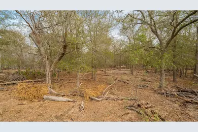 3980 (Tract 5) Fm 3158, Dale, TX 78616 - Photo 3