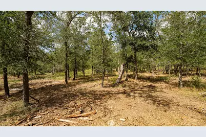 3980 (Tract 5) Fm 3158, Dale, TX 78616 - Photo 5