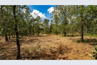 3980 (Tract 5) Fm 3158, Dale, TX 78616 - Photo 3