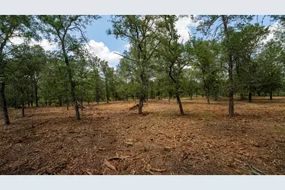 3980 (Tract 5) Fm 3158, Dale, TX 78616 - Photo 1