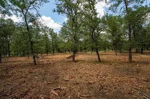 3980 (Tract 5) Fm 3158, Dale, TX 78616 - Photo 1