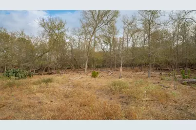 3980 (Tract 5) Fm 3158, Dale, TX 78616 - Photo 5