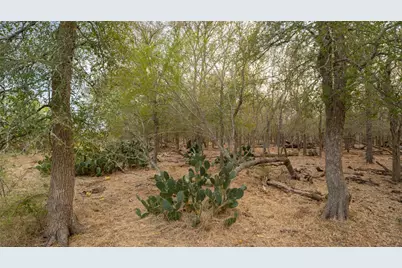 3980 (Tract 5) Fm 3158, Dale, TX 78616 - Photo 1