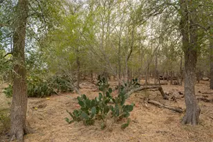 3980 (Tract 5) Fm 3158, Dale, TX 78616 - Photo 1