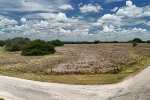 266 Miller Crk Blf, Briggs, TX 78608 - Photo 1