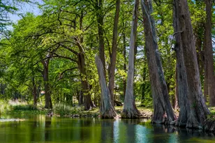 4292 N US 83 Hwy, Leakey, TX 78873 - Photo 23