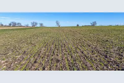 18502 Fm 2268, Holland, TX 76534 - Photo 7