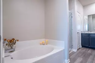 212 Star Spangled Dr, Liberty Hill, TX 78642 - Photo 15
