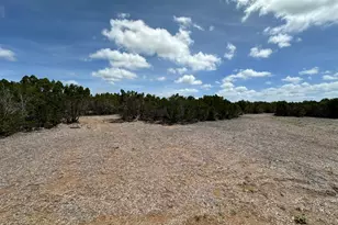 251 Stargazer Dr, Lampasas, TX 76550 - Photo 17